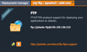 Remove Jelastic FTP Add-on