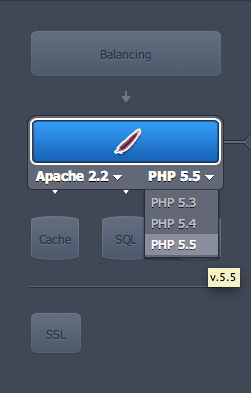 Selecting PHP version in Jelastic