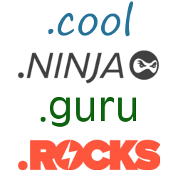 cool-ninja-guru-rocks-newTLD-domain-registration